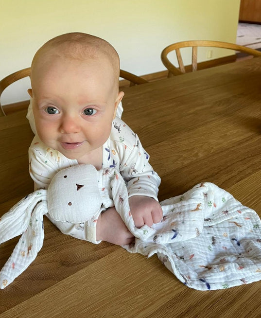 Snuttefilten KANIN i muslin